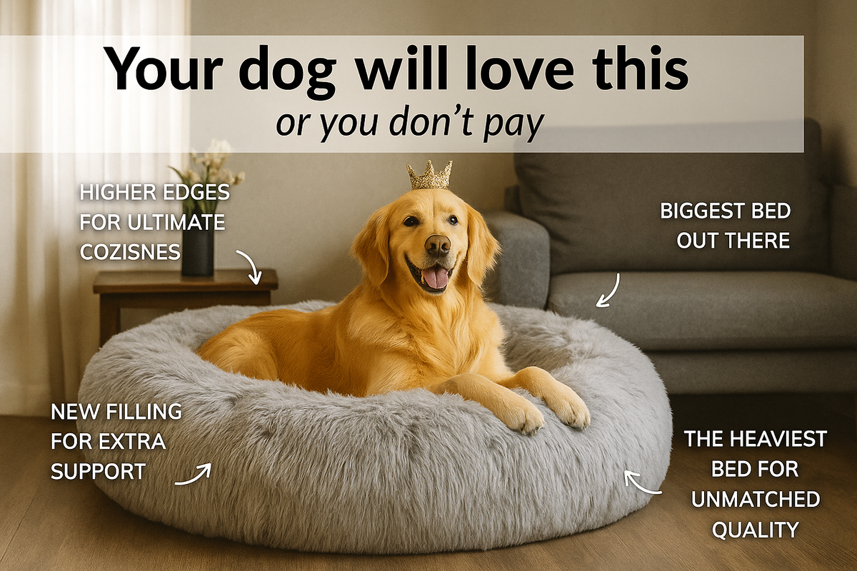 Maison Canin™  Best Anxiety Relieving Bed